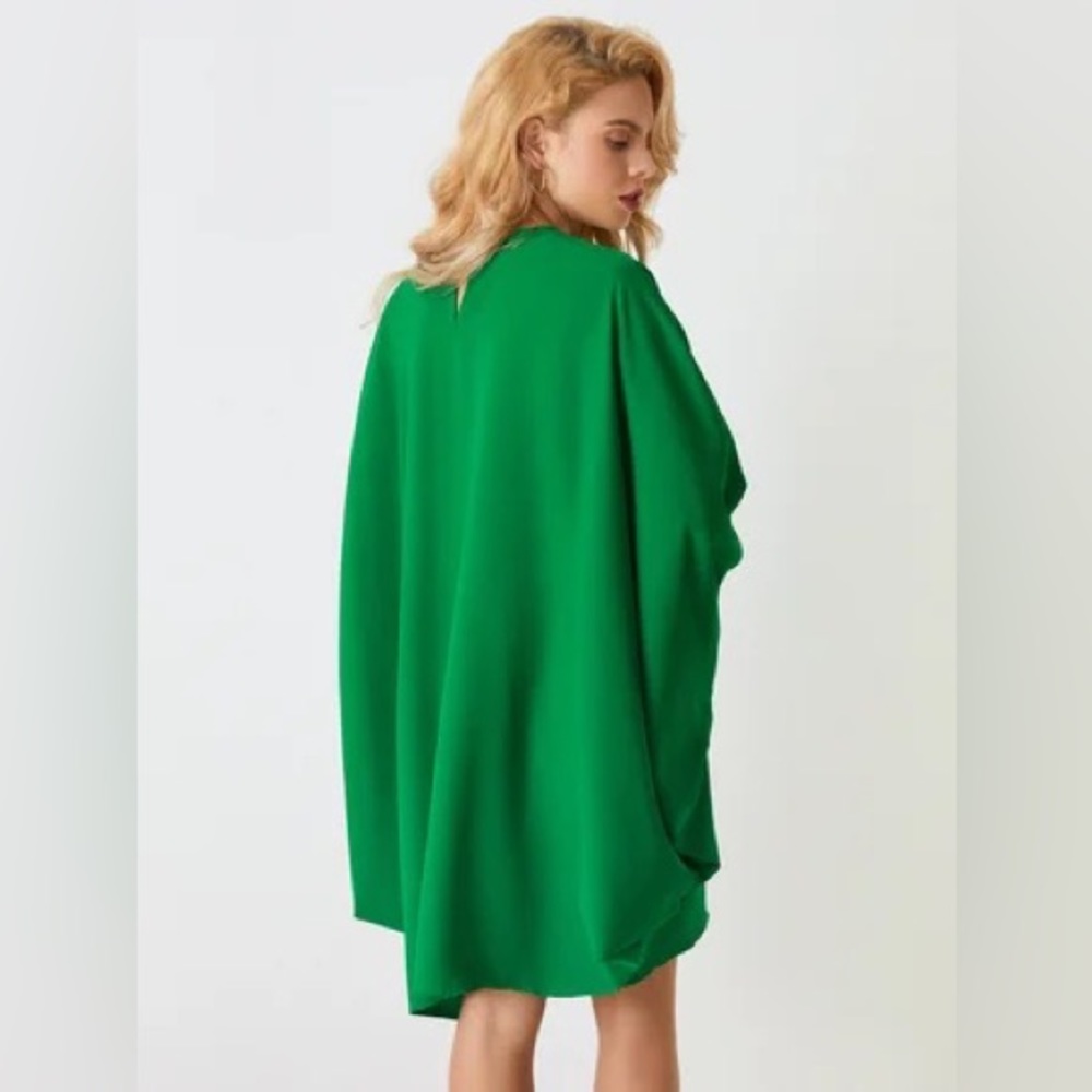 Loose Plain Simple Long Sleeve Mini Dress